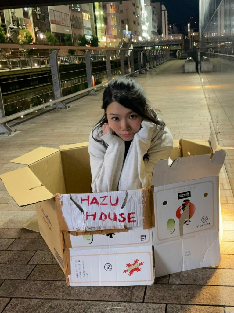 Authentic Hazu Cardboard House