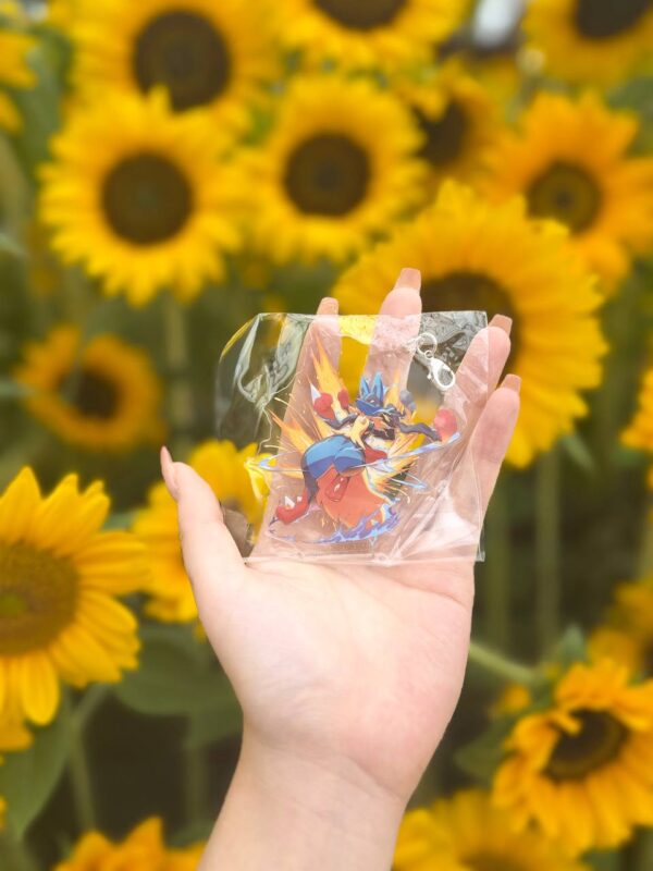 Pokemon Hunt Event Mega Lucario and Charizard Kit