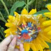 Pokemon Hunt Event Mega Lucario and Charizard Kit