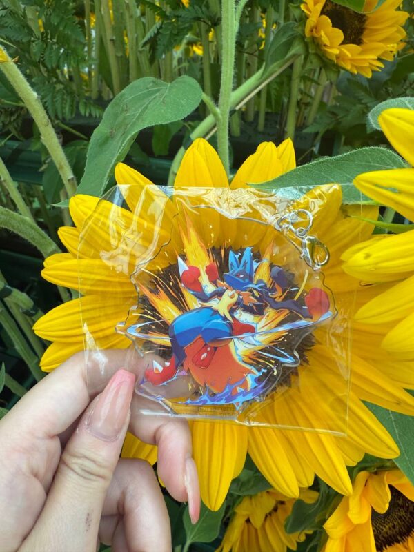 Pokemon Hunt Event Mega Lucario and Charizard Kit