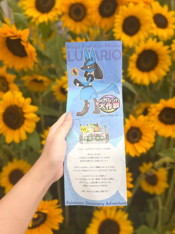 Pokemon Hunt Event Mega Lucario and Charizard Kit