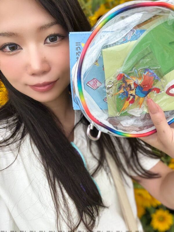 Pokemon Hunt Event Mega Lucario and Charizard Kit