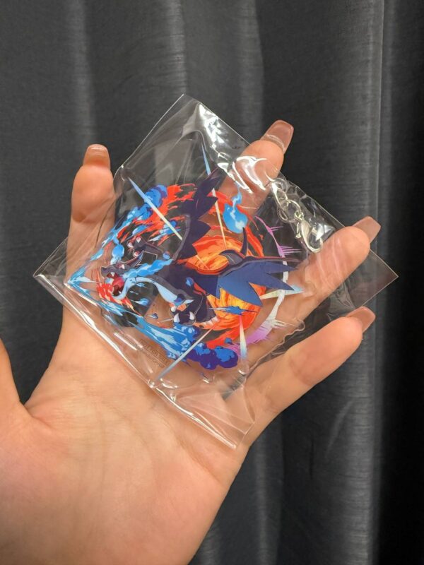 Pokemon Hunt Event Mega Lucario and Charizard Kit
