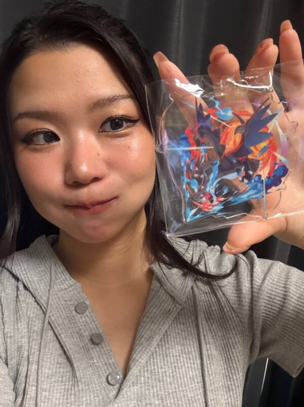 Pokemon Hunt Event Mega Lucario and Charizard Kit